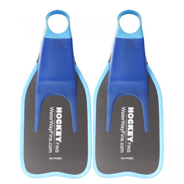 Hockey Carbone Bipalmes