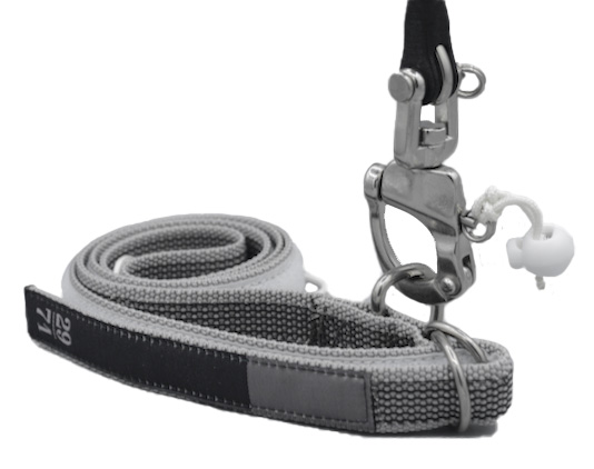29/71 CNF Ceinture à Lanière