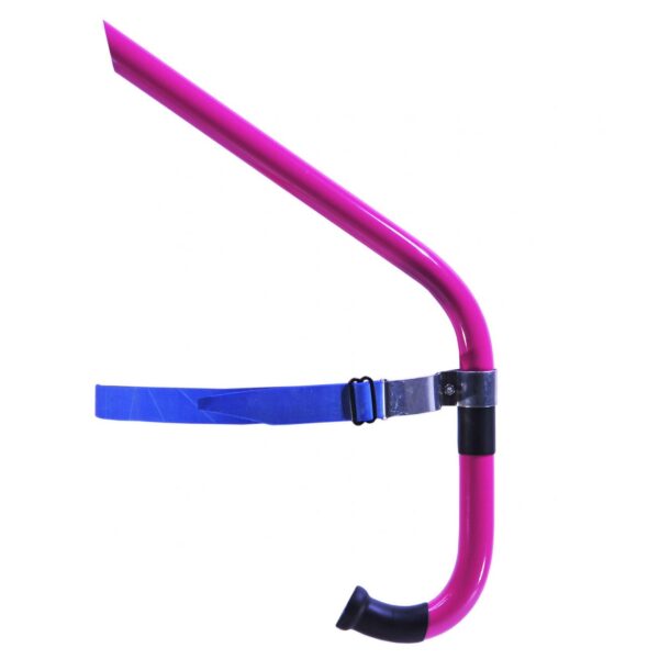Frontal Tube Rose