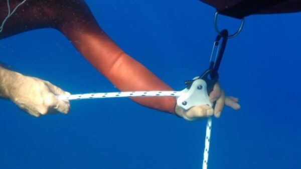Système de traction Octopus